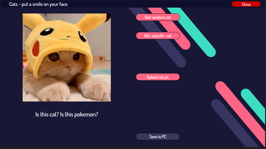 GitHub - roxana21-i/Random-Cat-Pic-Generator: Provides cute cat ...