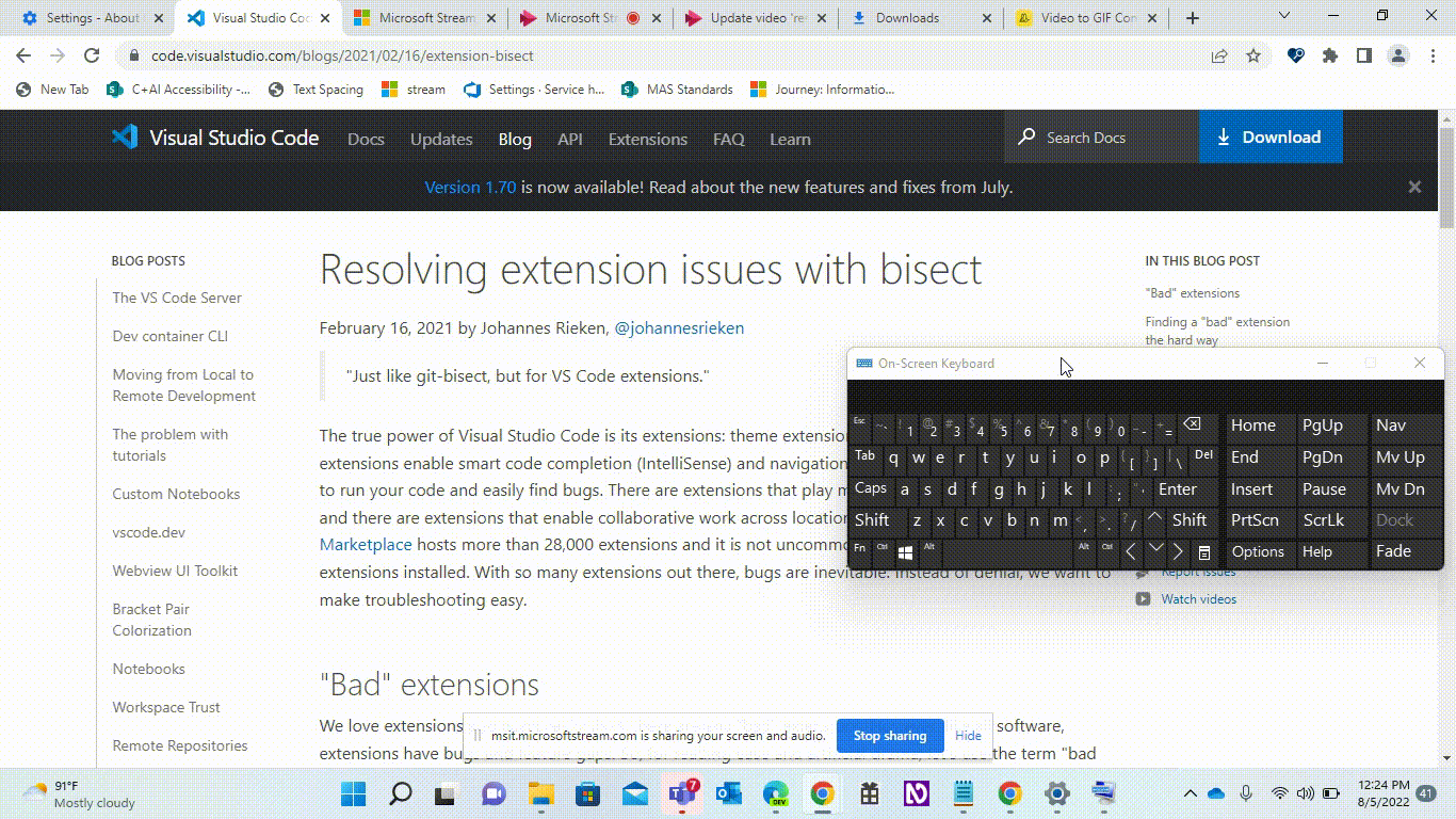 5540_A11y_Visual Studio Code Services_Blog Posts_Extension Bisect