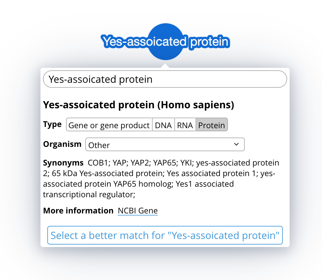 Screen Shot 2020-11-10 at 13 43 58