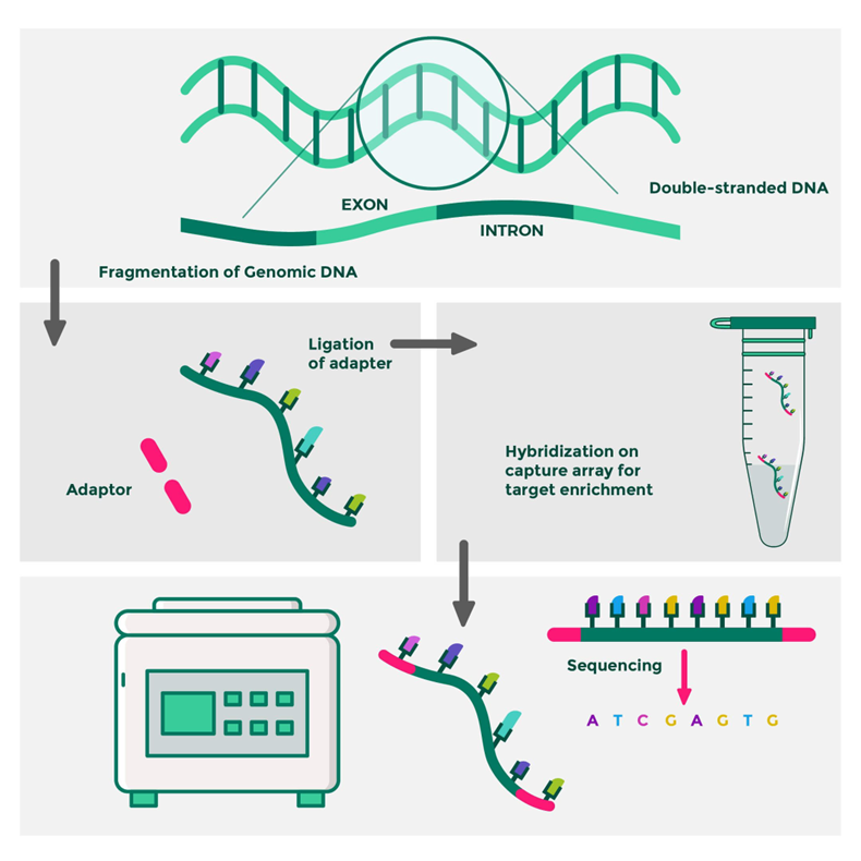 GitHub - pup98/Pathogenic-Genomic-Variant-Detection-Project