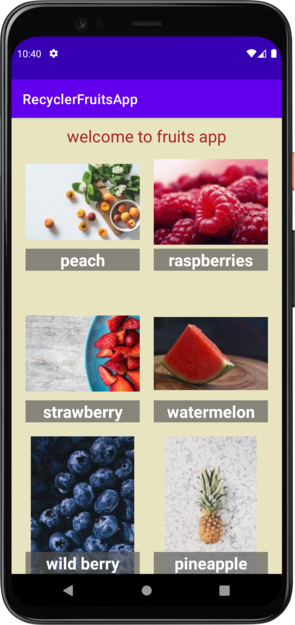 GitHub - xYoussefMahmoudx/Fruits_Android_app
