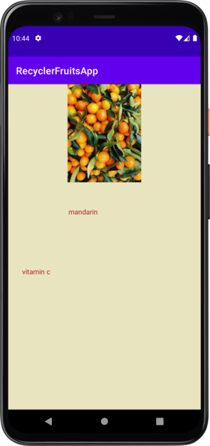 GitHub - xYoussefMahmoudx/Fruits_Android_app