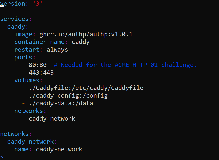 question Basic Caddyfile to get started · Issue 202 · greenpau/caddy