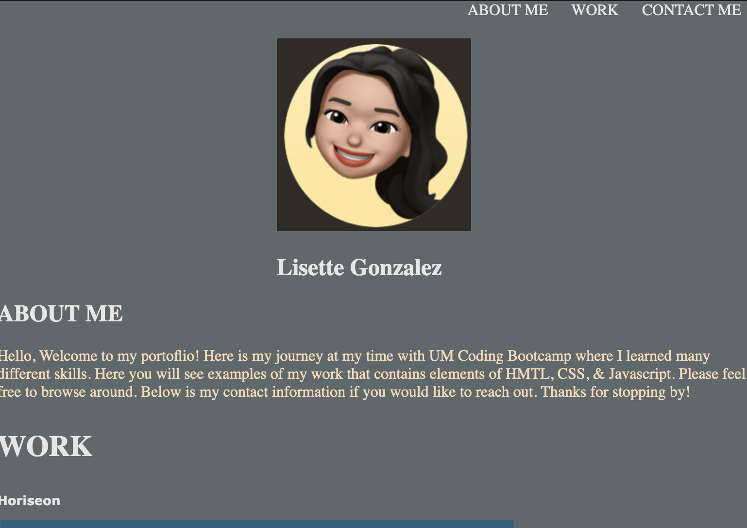 GitHub - lissygonz/professional-portfolio