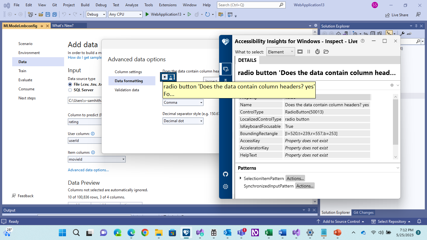 A11y_Model Builder_Advanced data option_Data Formatting_Info and ...