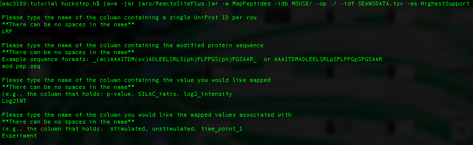 Filling out parameters
