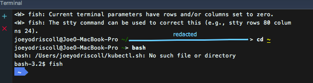Unable to access npm/fish interface, unless I bash, then reinitiate ...