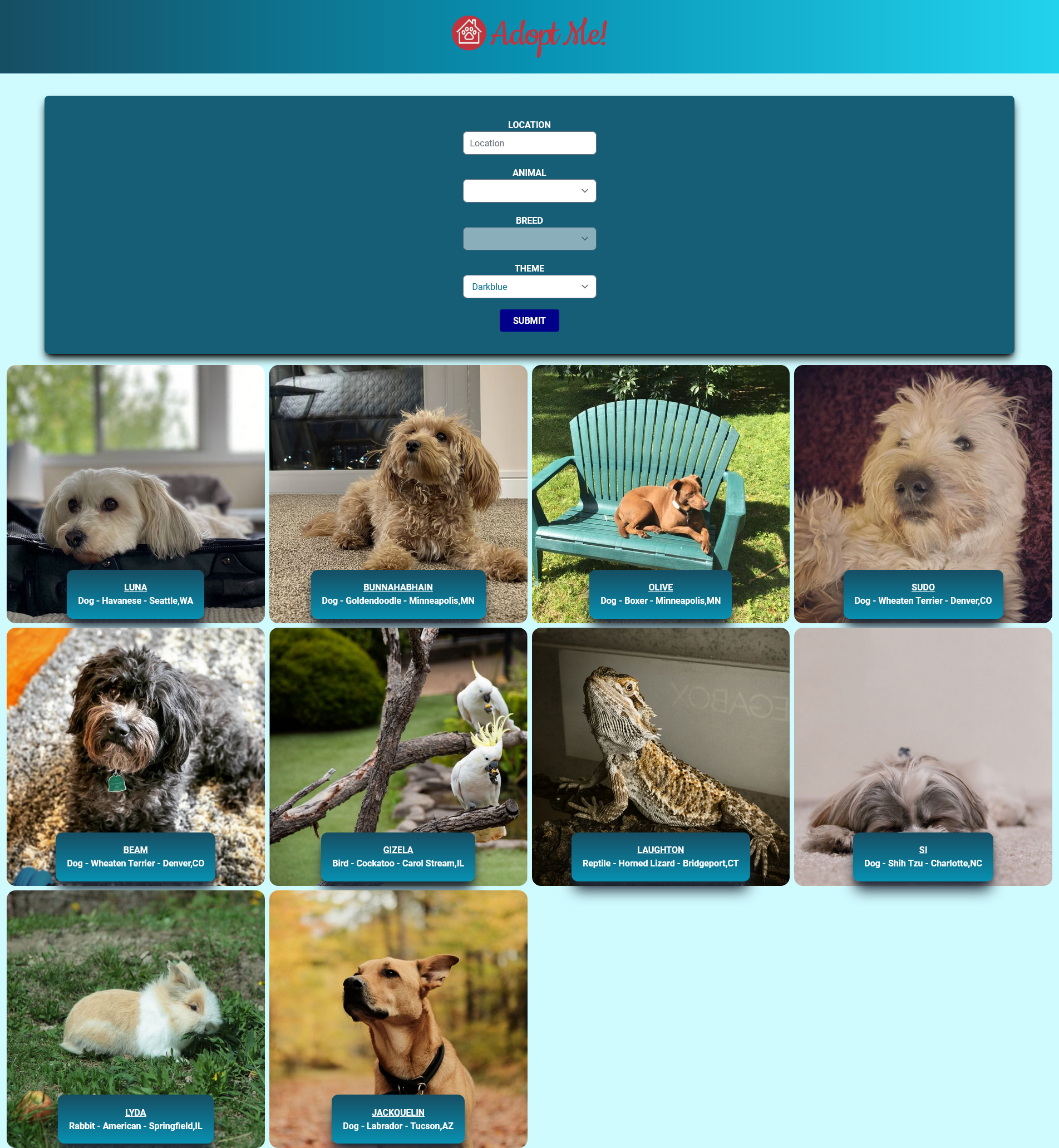 GitHub - mkdrx/adopt-me-app: Adopt Pets App - based on Frontend Masters ...