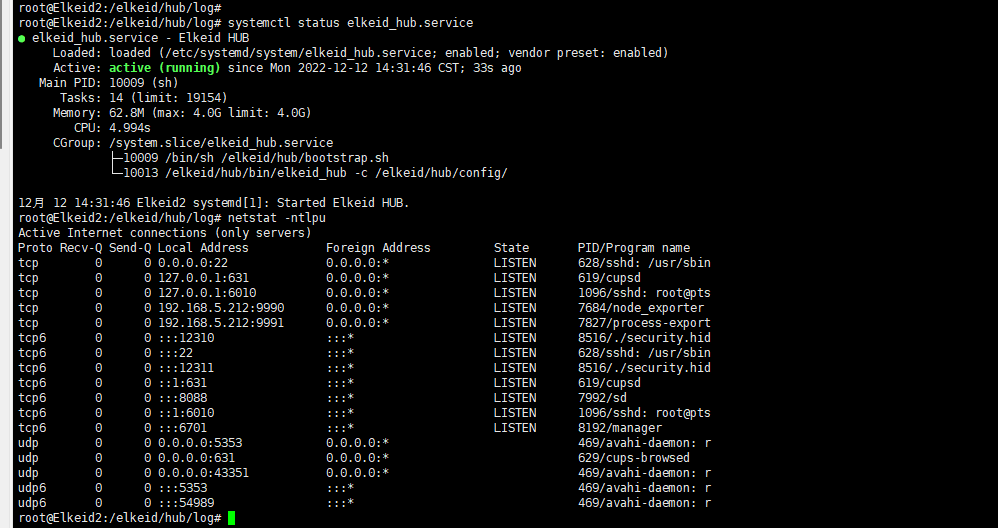 1.9.1部署hub失败 · Issue #392 · bytedance/Elkeid · GitHub