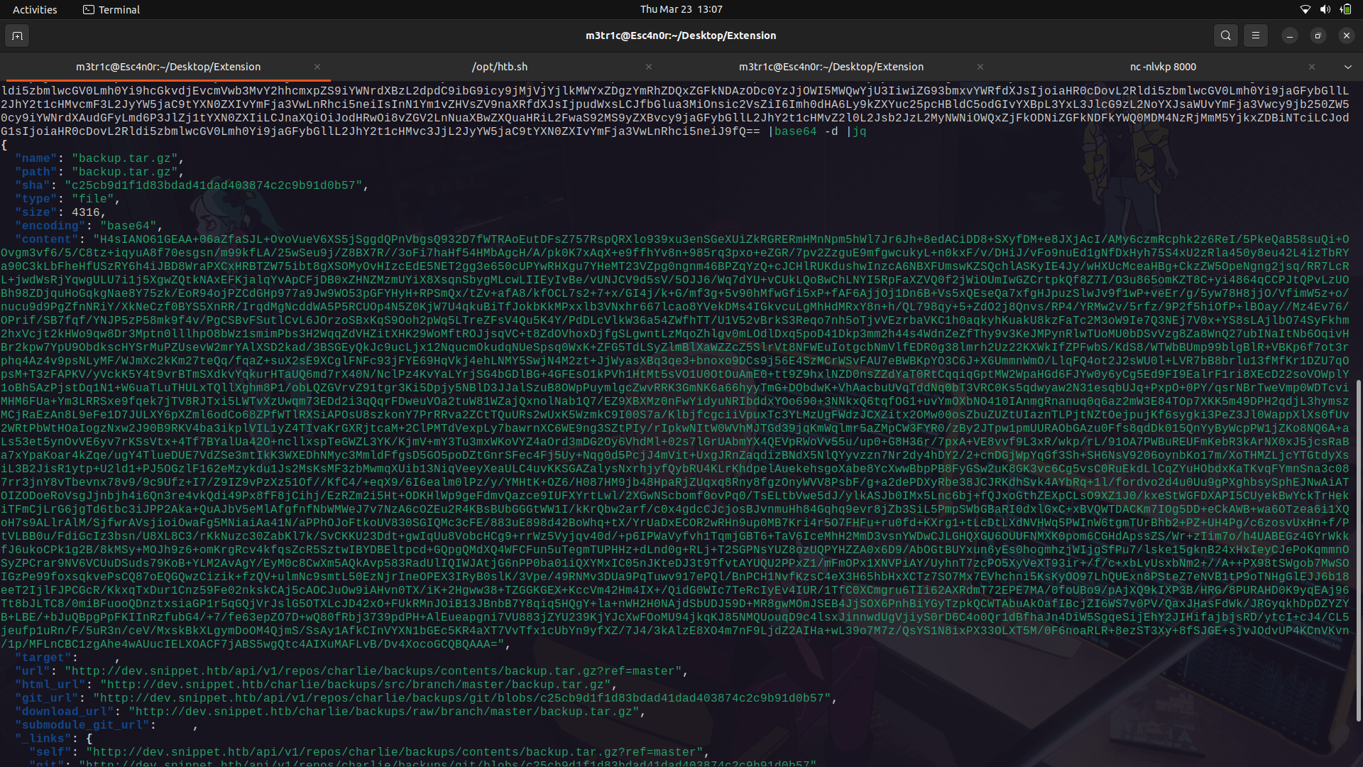 Screenshot from 2023-03-23 13-07-51