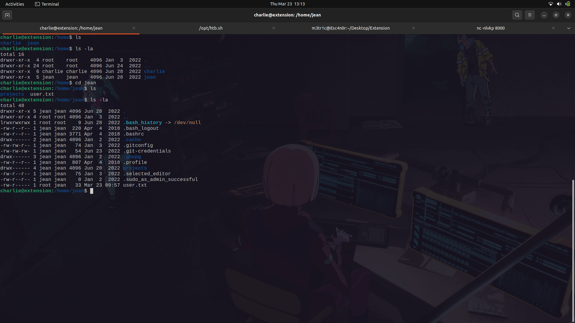 Screenshot from 2023-03-23 13-13-43