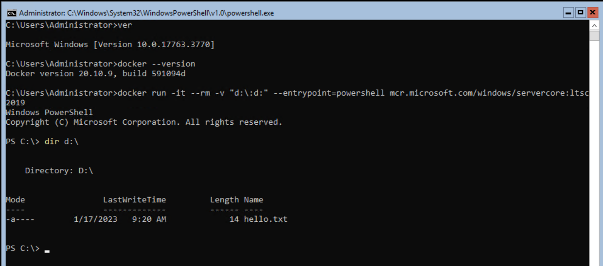 StackoverflowException when running Windows Container image with 